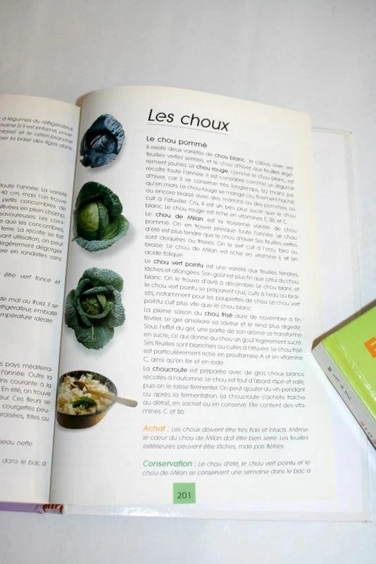 Enciclopédia da culinária Volume 6 da France Loisirs – photo 5